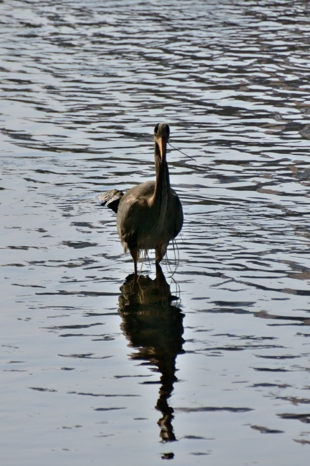 DSC_3095.JPG
