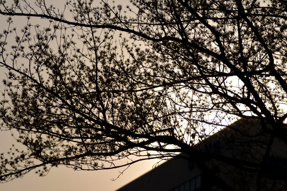 DSC_3142.JPG