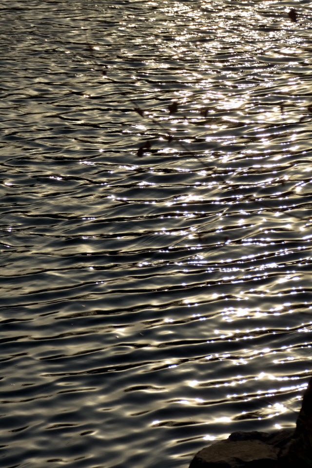 DSC_3131.JPG