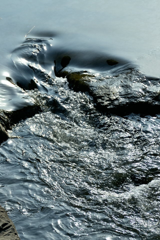 DSC_3062.JPG