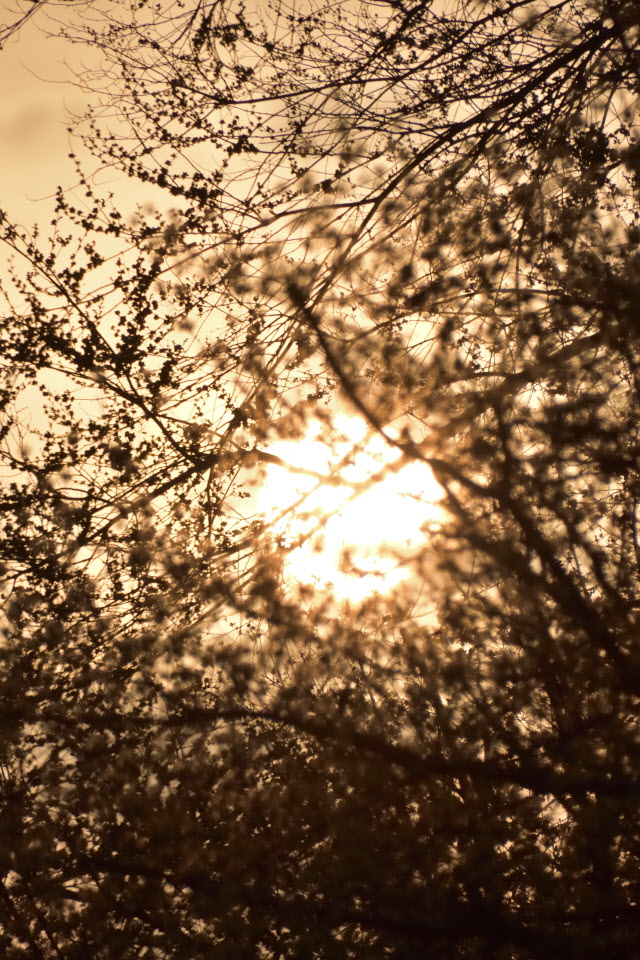 DSC_3216.JPG