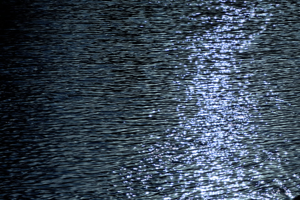 DSC_3128.JPG