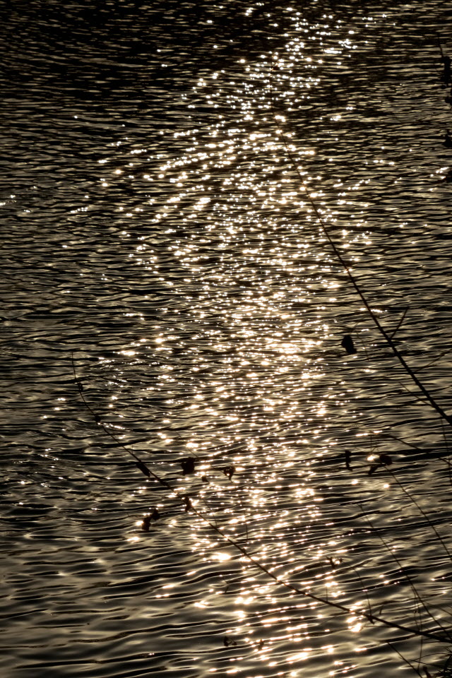 DSC_3136.JPG