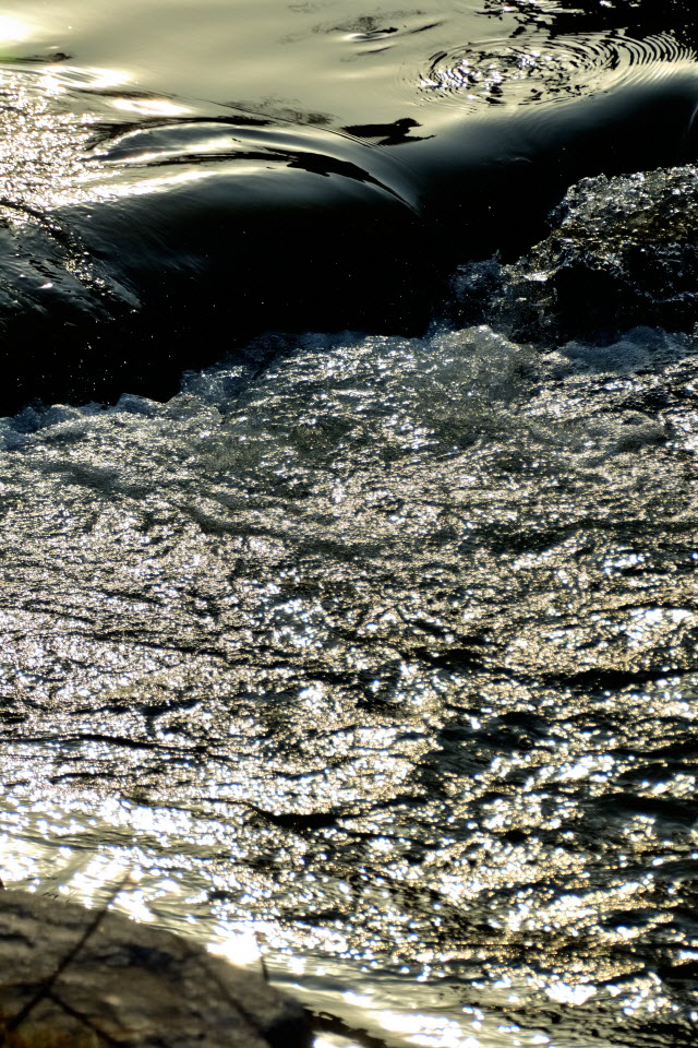 DSC_3087.JPG