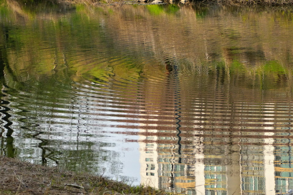 DSC_3037.JPG