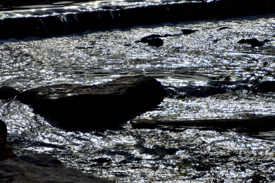 DSC_3082.JPG