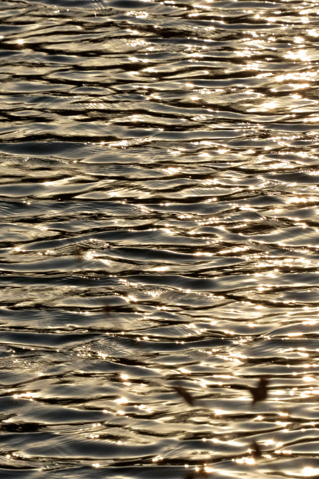 DSC_3134.JPG