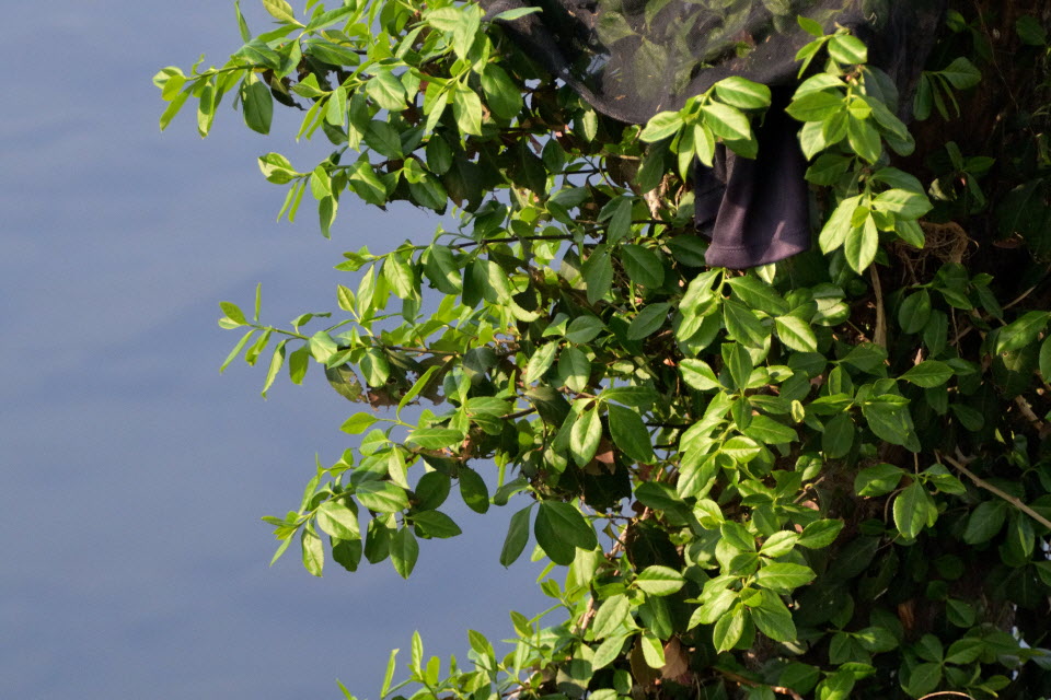 DSC_3044.JPG