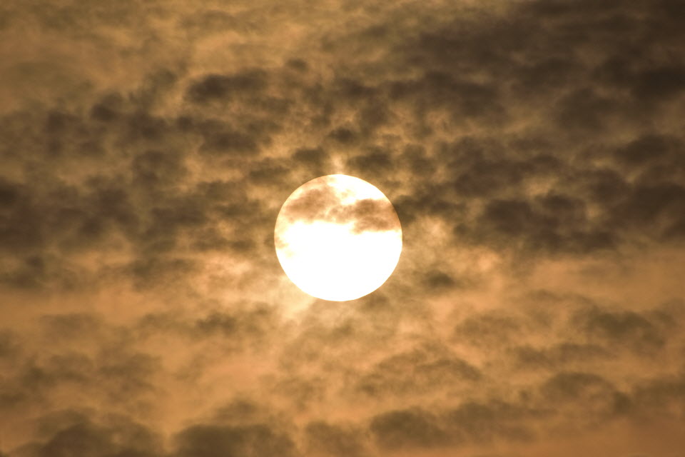 DSC_3201.JPG