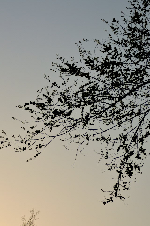 DSC_3118.JPG