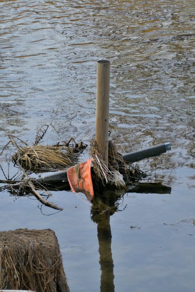 DSC_3051.JPG