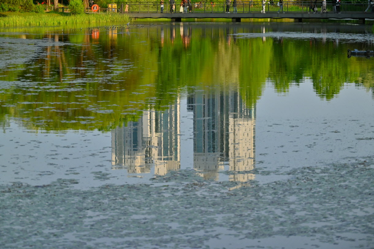DSC_3510.JPG