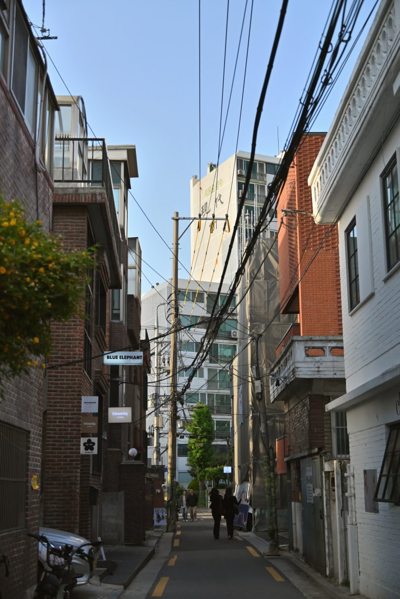 DSC_3535.JPG