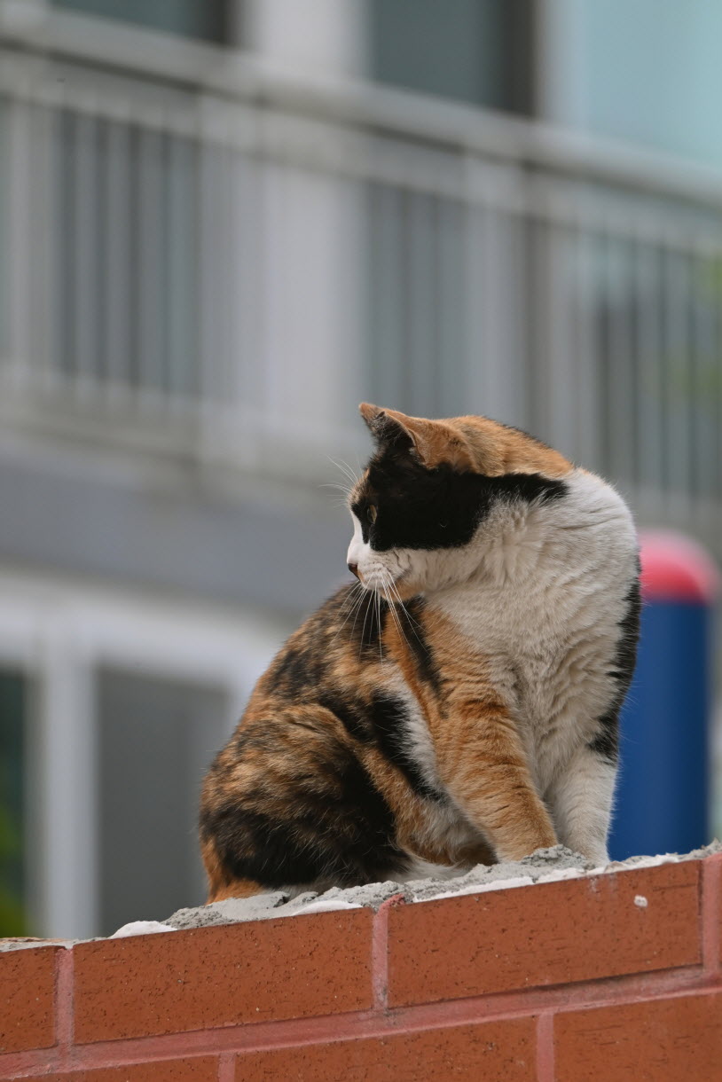 DSC_3389.JPG