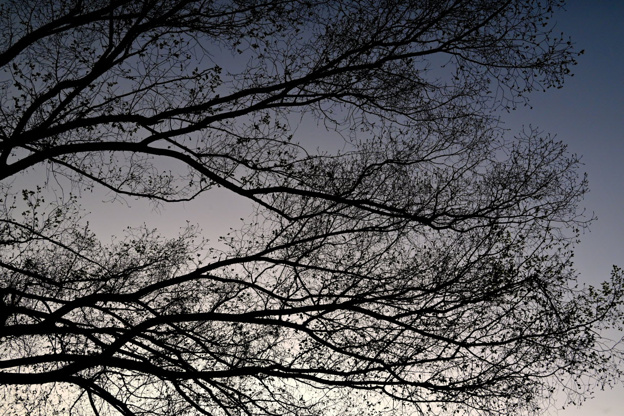 DSC_3458.JPG