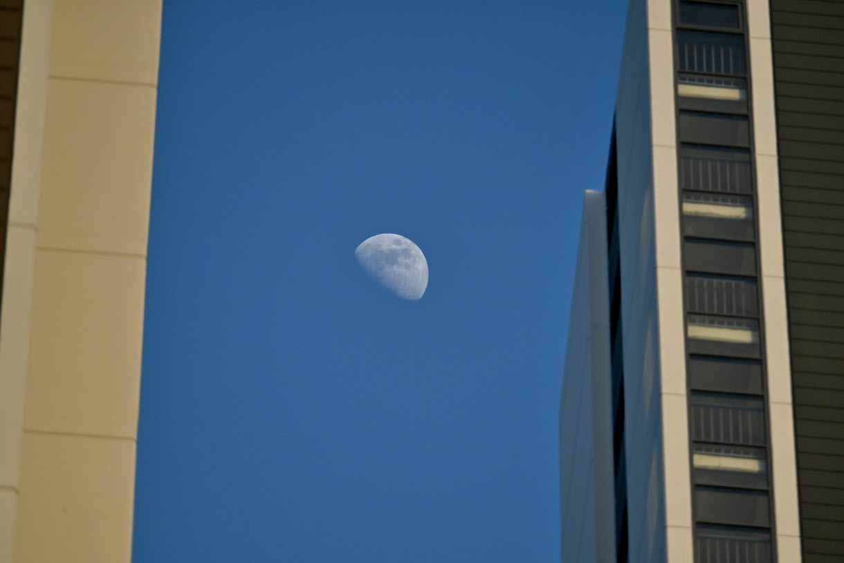 DSC_3562.JPG