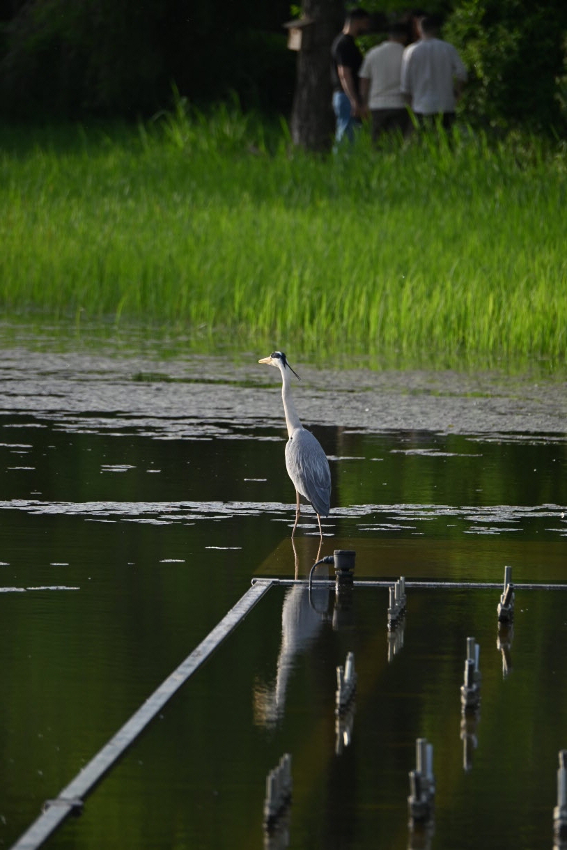DSC_3480.JPG
