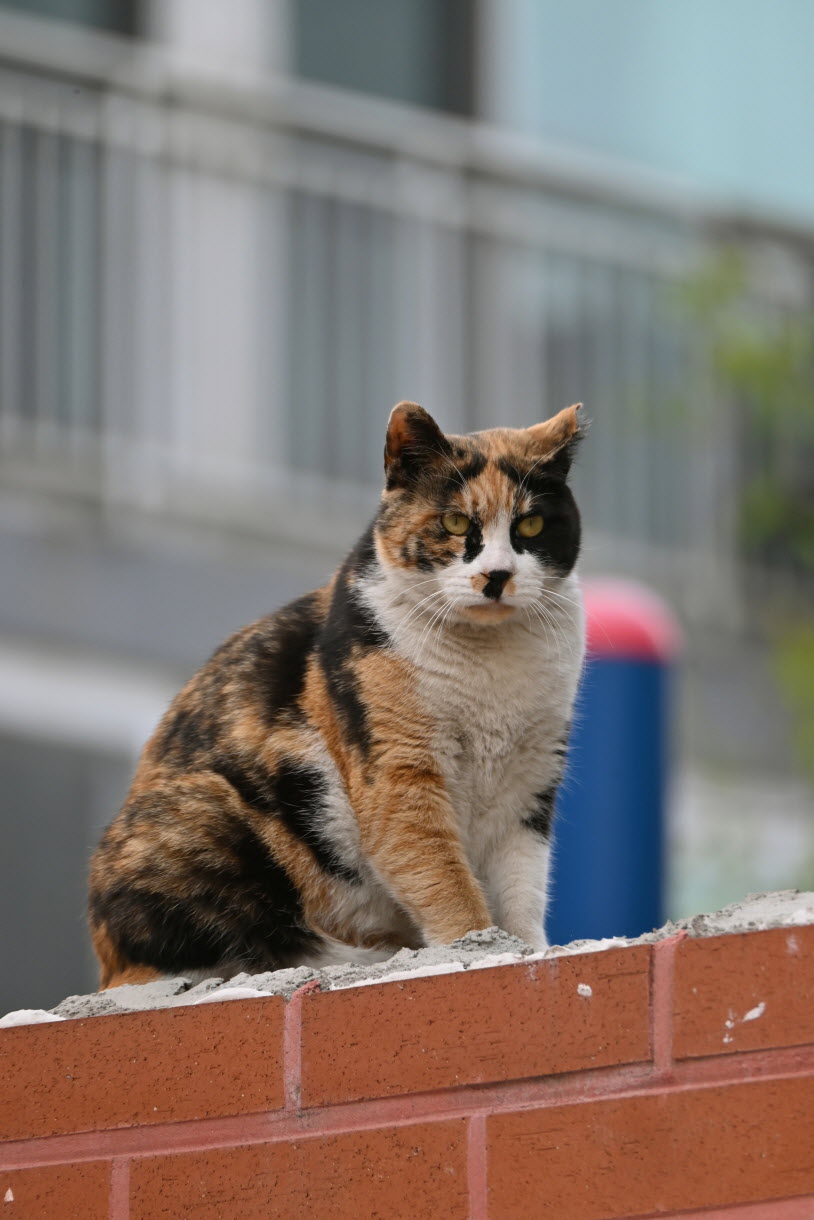 DSC_3390.JPG