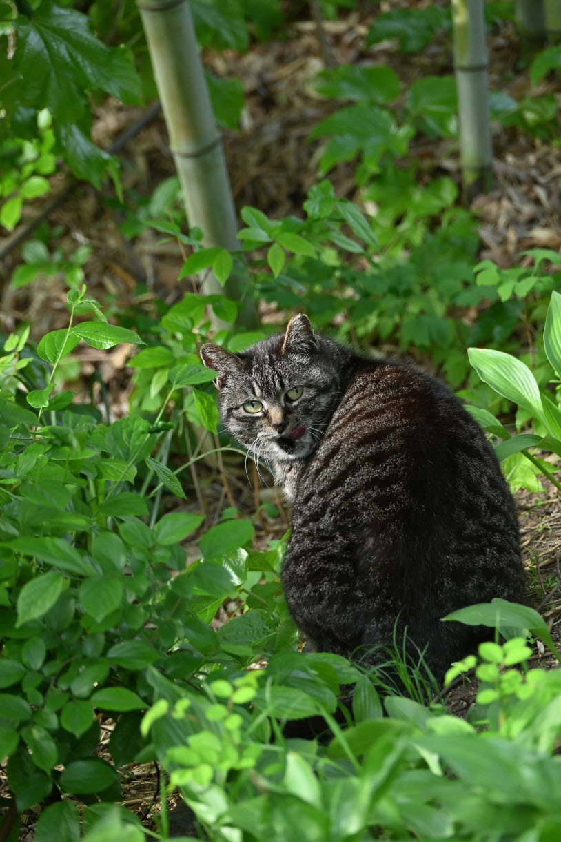 DSC_3432.JPG
