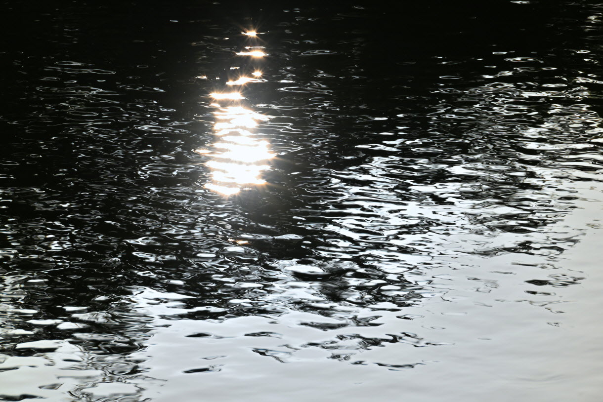 DSC_3491.JPG