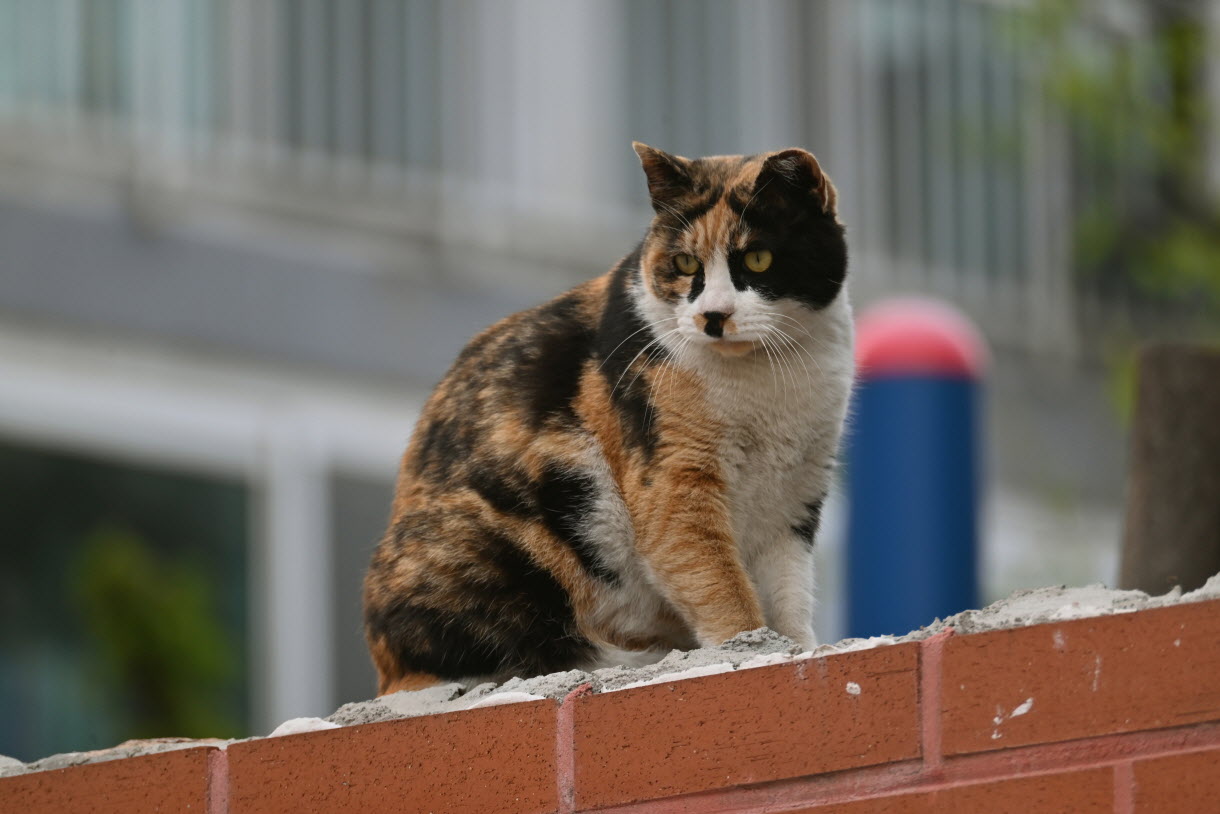 DSC_3386.JPG