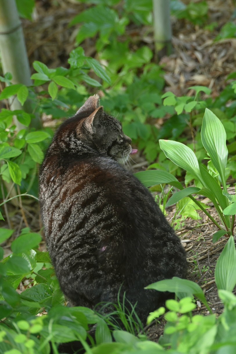 DSC_3434.JPG