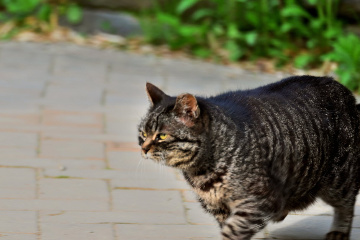DSC_3430.JPG