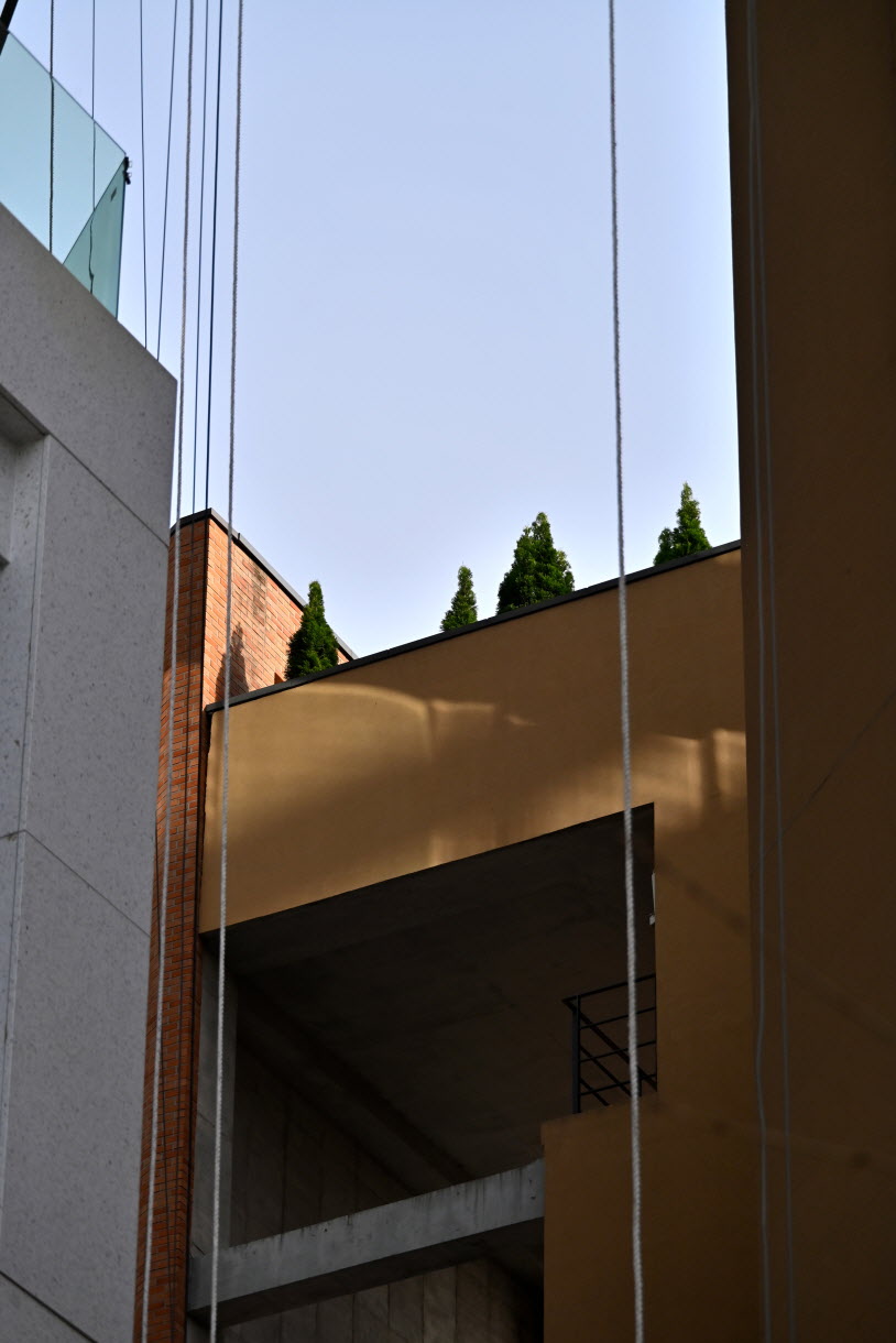 DSC_3362.JPG