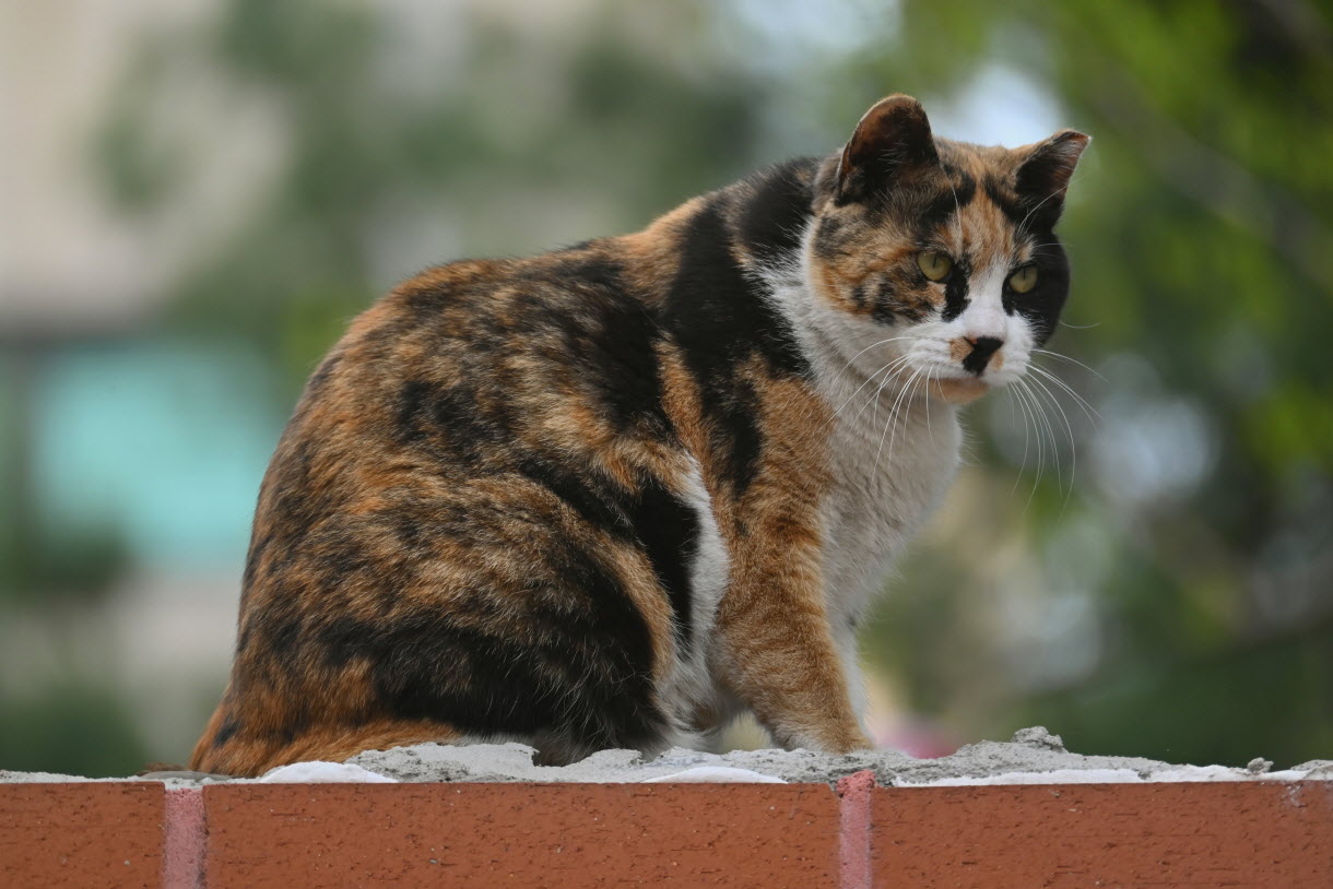 DSC_3394.JPG