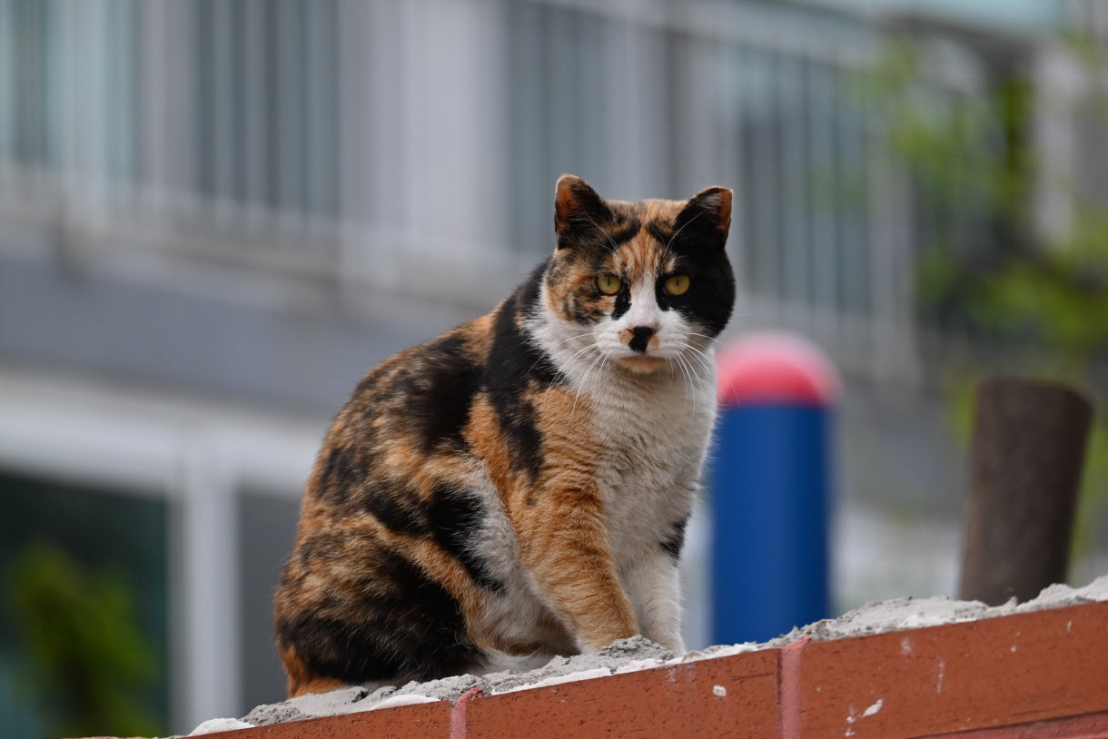 DSC_3385.JPG
