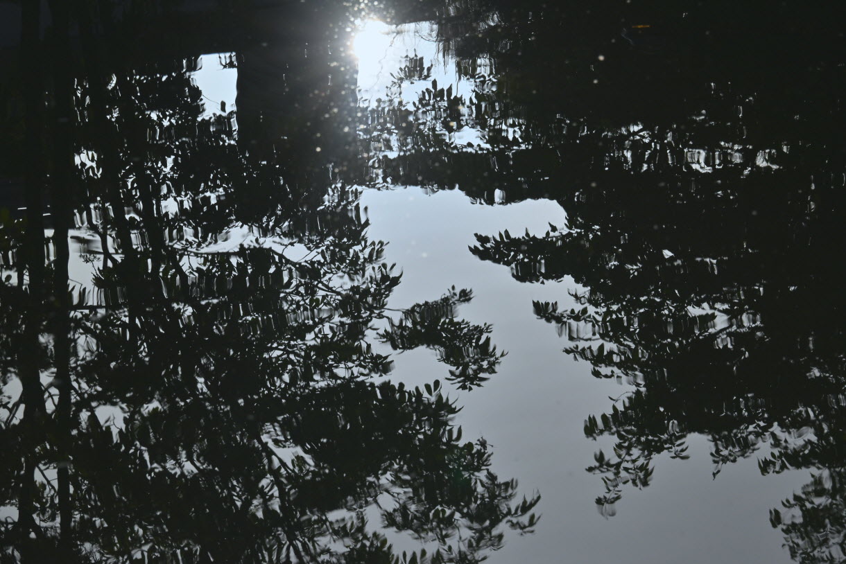 DSC_3483.JPG