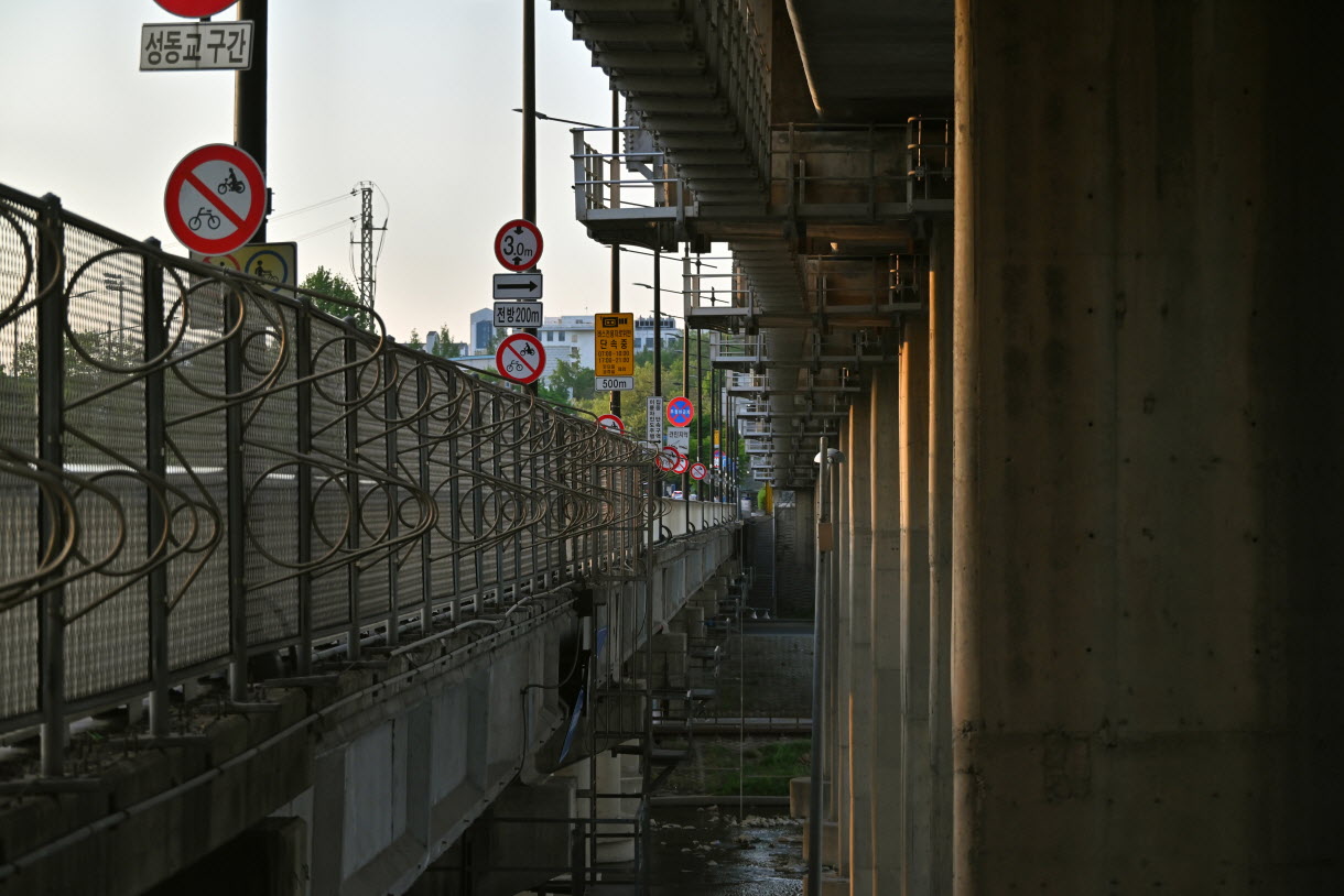 DSC_3567.JPG