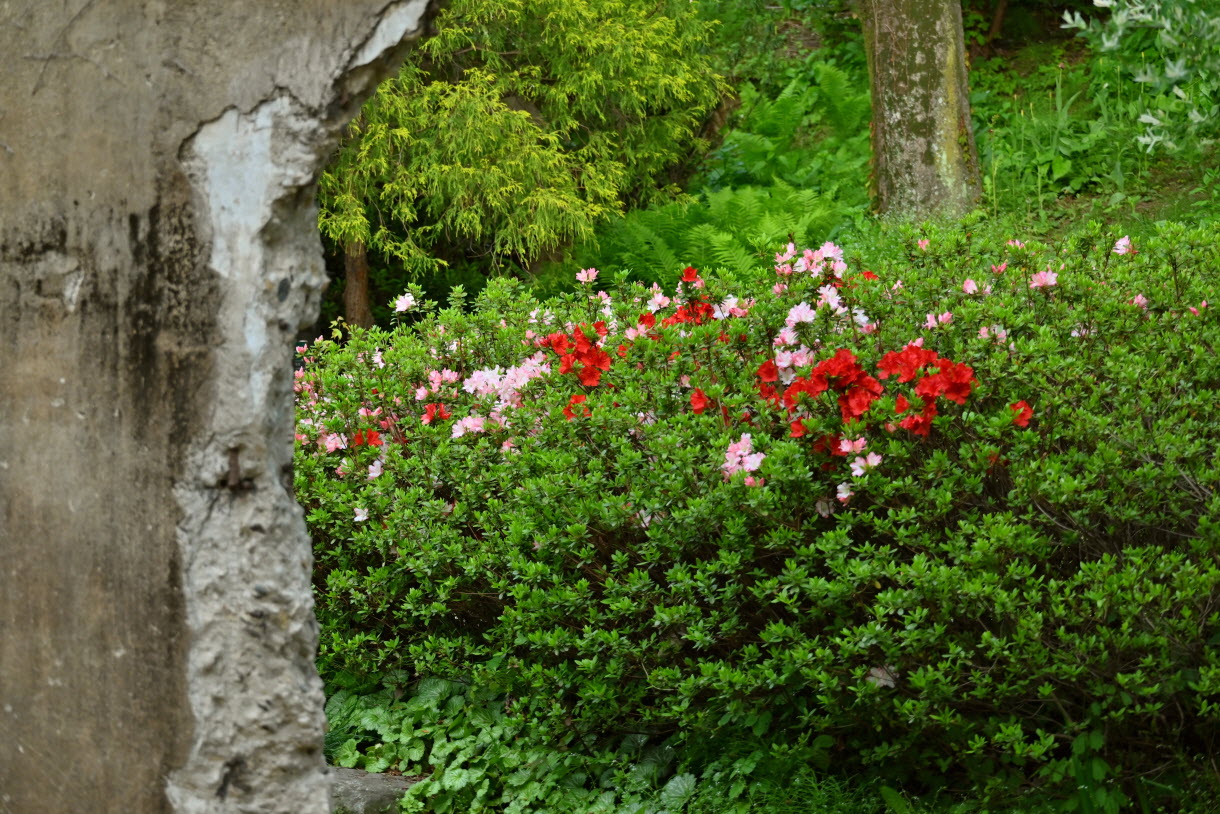 DSC_3443.JPG