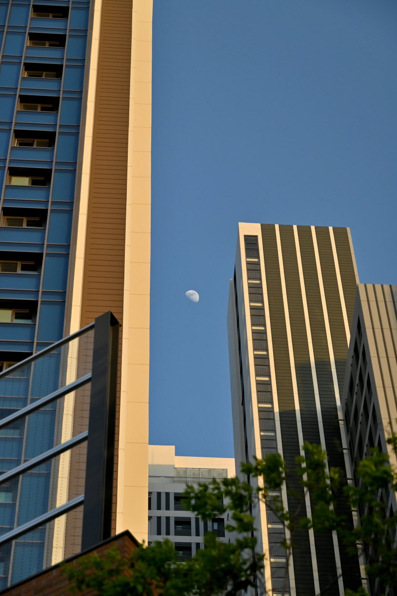 DSC_3559.JPG