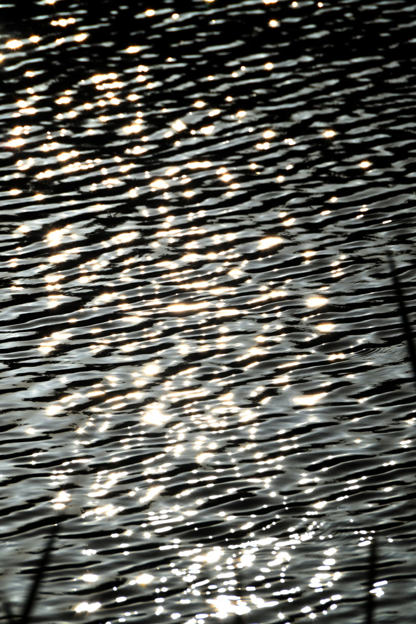 DSC_3475.JPG