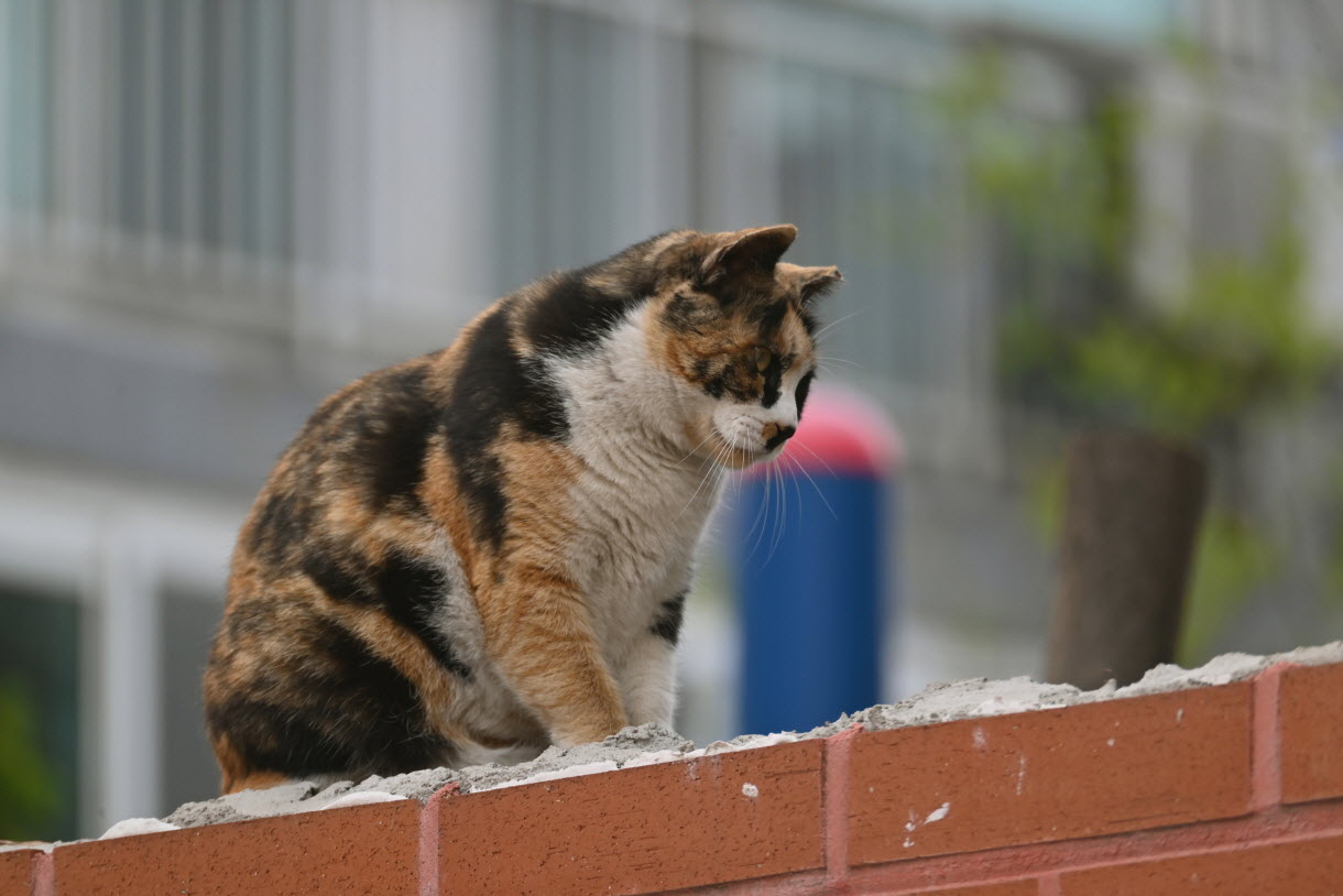 DSC_3393.JPG