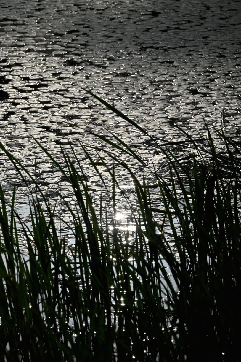 DSC_3473.JPG