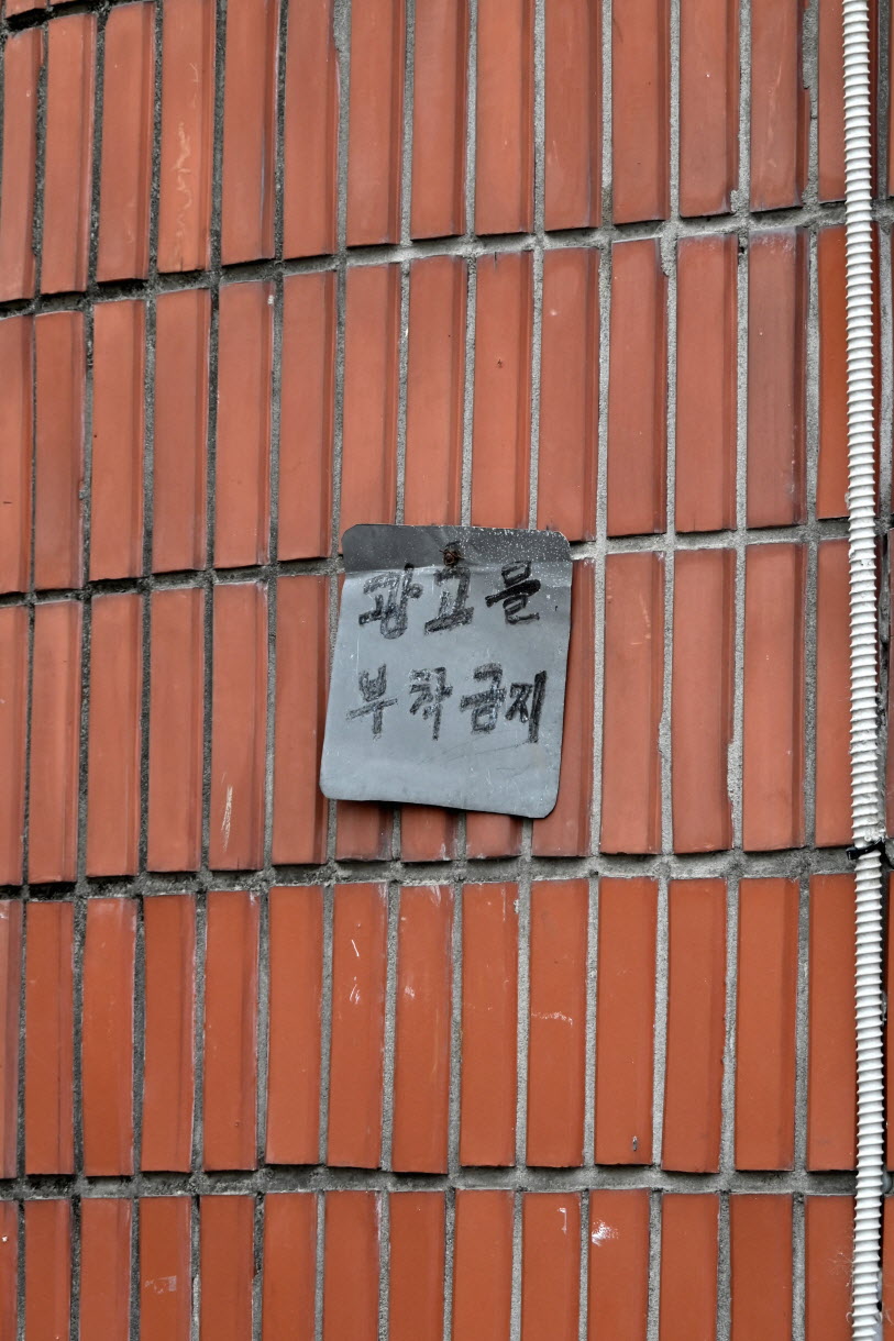 DSC_3251.JPG
