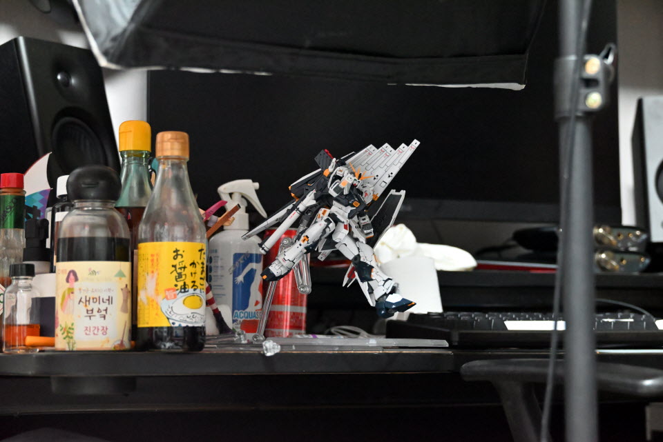 DSC_1861.JPG