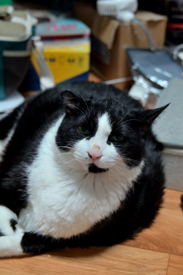 DSC_1859.JPG
