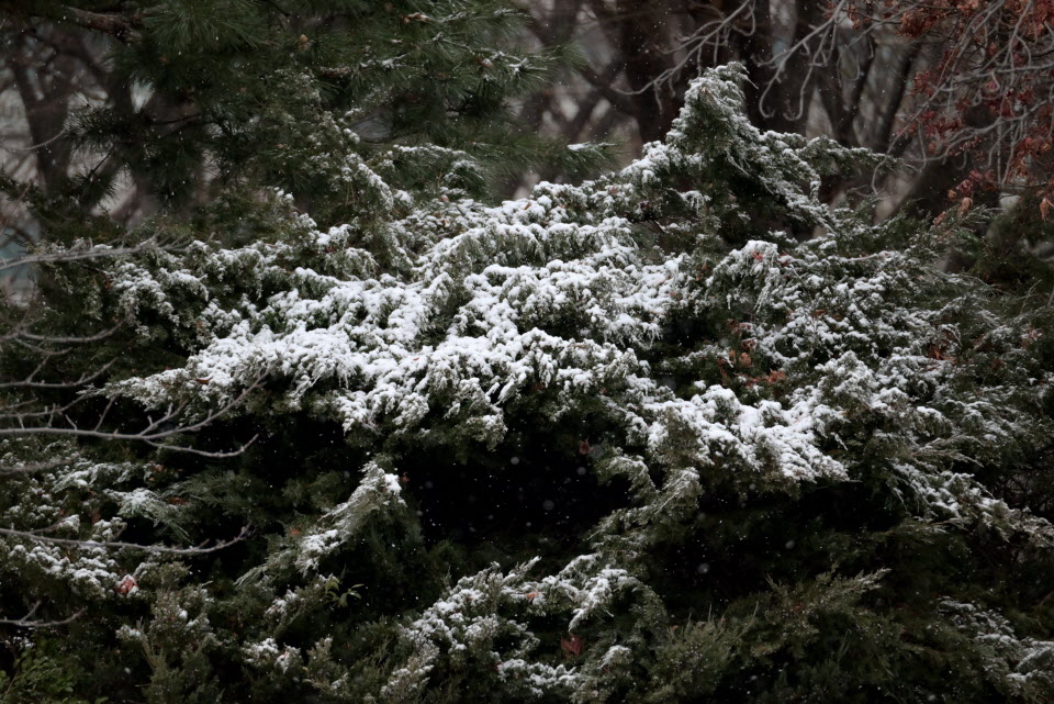 DSC_1886.JPG