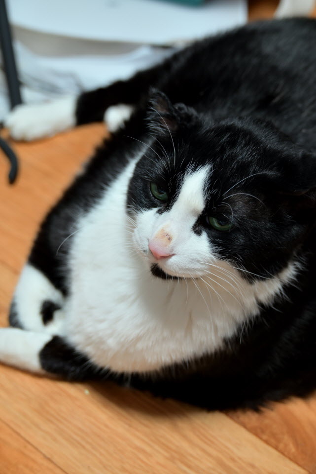 DSC_1857.JPG