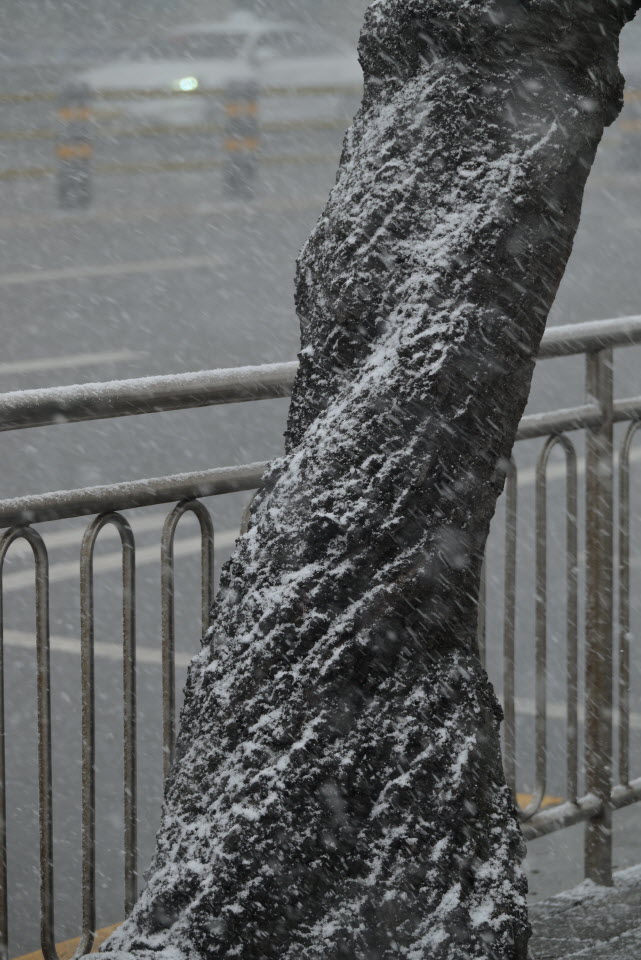 DSC_1898.JPG