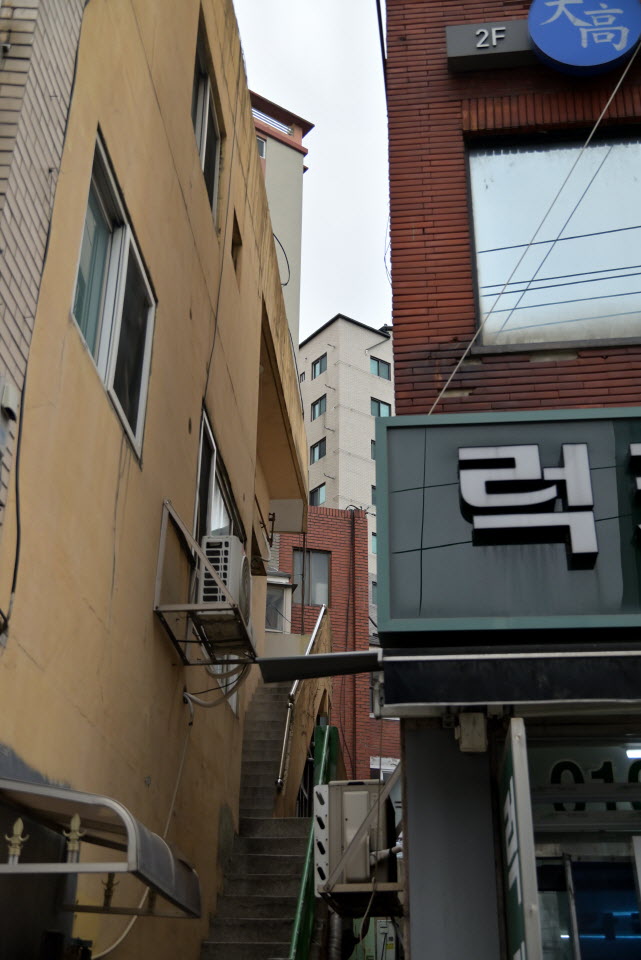 DSC_1807.JPG