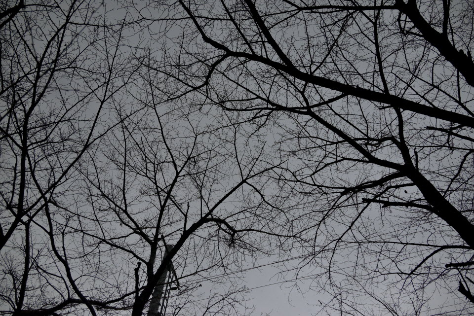 DSC_1892.JPG