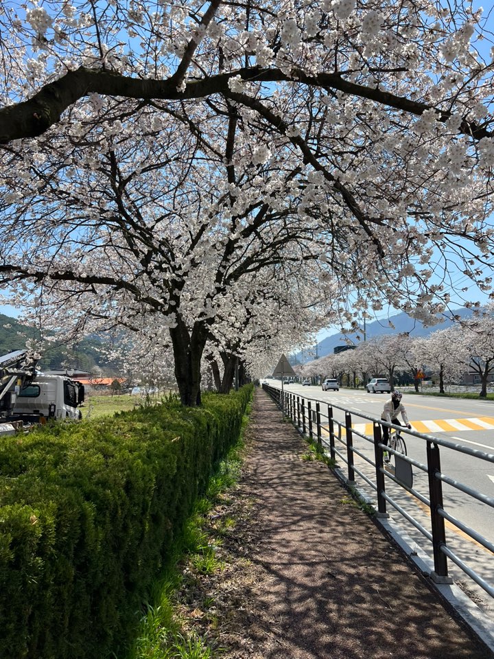 KakaoTalk_20250407_133022170.jpg