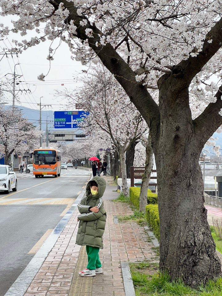 KakaoTalk_20250407_133022170_17.jpg