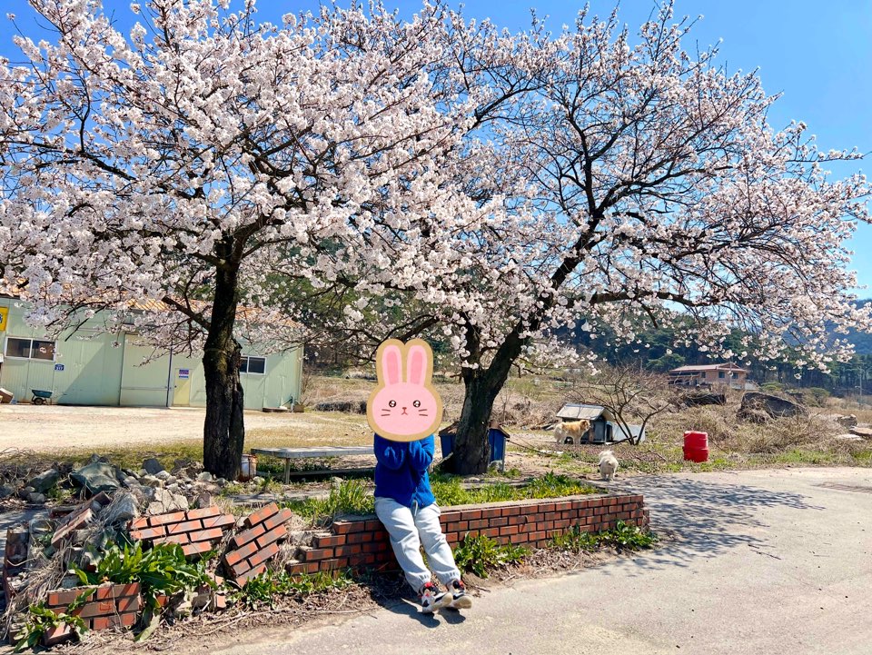 KakaoTalk_20250407_133744444.jpg