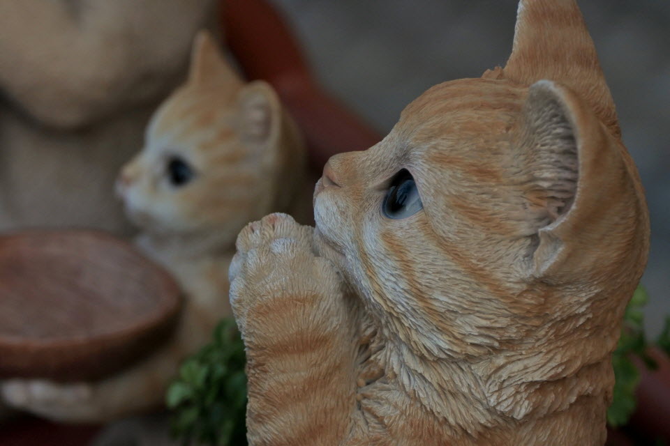 DSC_1458.JPG