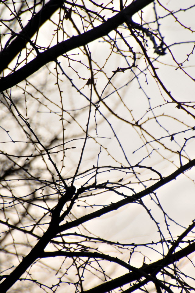DSC_1307.JPG
